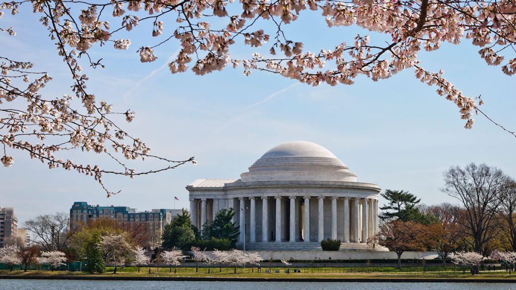 13 Things Locals Do in Washington DC – Accountable Jobs